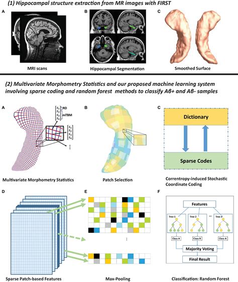 Frontiers Predicting Brain Amyloid Using Multivariate Morphometry