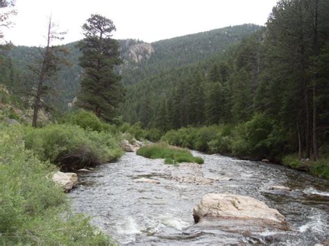 DIY Guide to Fly Fishing the Big Thompson River in Colorado | DIY Fly ...