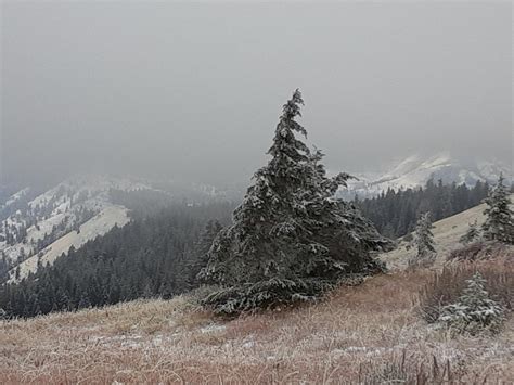 Fall in the blue mountains of oregon : r/AmericanWest