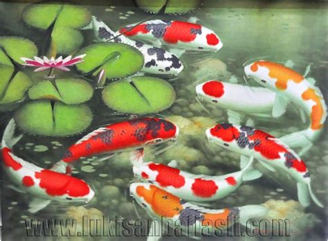 Gambar Ikan Koi Dunia Binatang