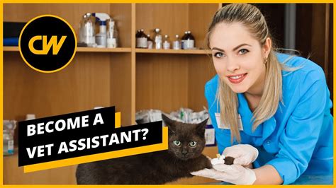 Become A Vet Assistant In 2020 Salaries Jobs And Forecasts Youtube