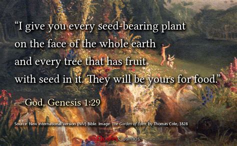 Genesis 1 29 Every Seed Bearing Plant Translation Meaning Context