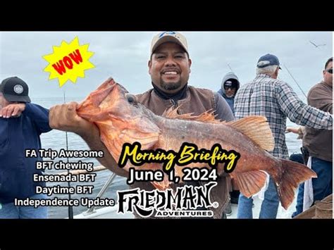 Bluefin Tuna Bite Accelerates W Day Night Fish Island Spirit Heads