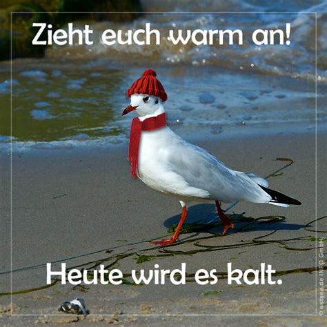 Heute Wird Es Kalt Kaltes Wetter Lustig Kalt Kalte Spr Che