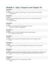 Module 6 - Quiz- Chapter 6 and Chapter 16.docx - Module 6 - Quiz ...