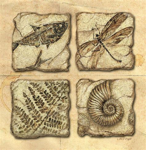 Fossil Painting Art Print