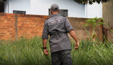 Onça parda é vista andando sobre telhados e assusta moradores de