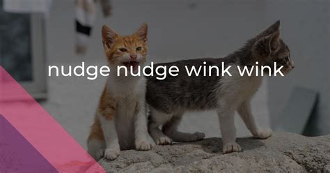 Nudge Nudge Wink Wink Idiom Meaning And Origin The Village Idiom