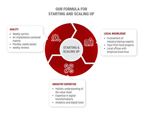 Startups Scale Ups Integration Consulting