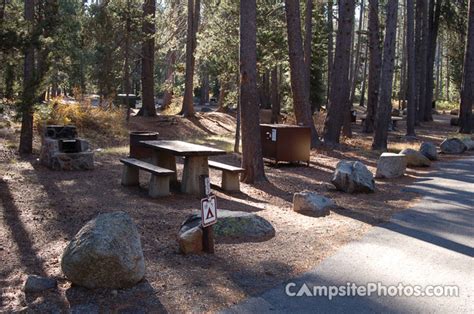 Donner Memorial State Park Campsite Photos Camp Availability Alerts