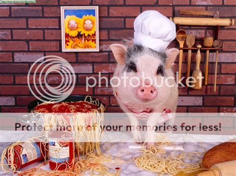 Pedriño El Bellotero El cocinero de la boda gay de Pedriño