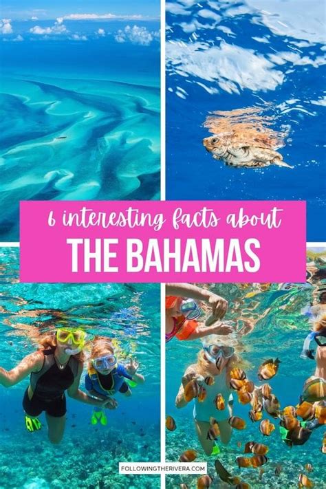 Interesting Facts About The Bahamas 6 Useful Things To Know