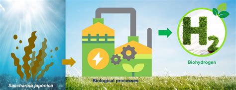 Fermentation Free Full Text A Review Of Biohydrogen Production From