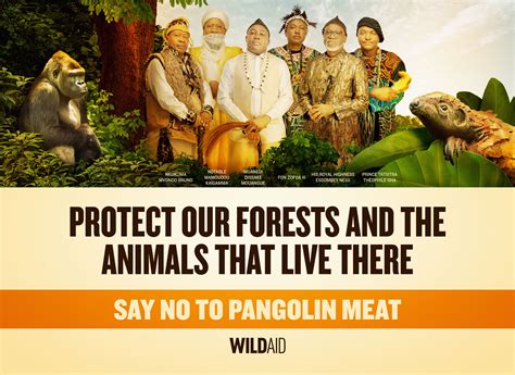 Respected traditional leaders from Cameroon unite to say no to pangolin