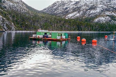 Denuncias Contra Nova Austral Por Irregularidades En Producci N De