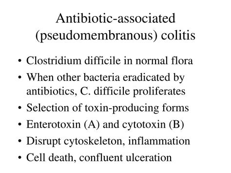 Ppt Pathogenesis Of Diseases Of The Large Intestine Powerpoint Presentation Id 3745314