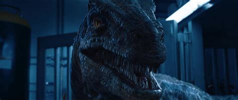 Jurassic World Fallen Kingdom Fk 02832 Movies Screencaps Jurassic World Fallen Kingdom