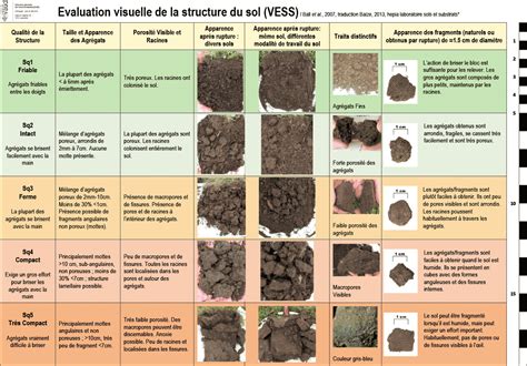 Evaluation Visuelle De La Structure D Un Sol A2C Le Site De L