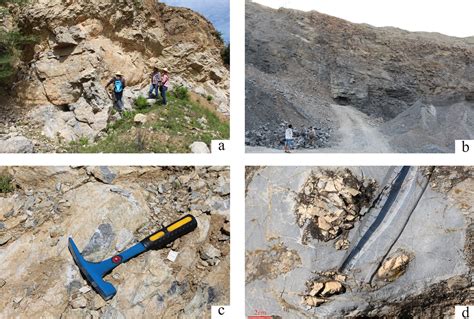 Sedimentary Characteristics Of The Permian Zhesi Formation In Eastern