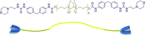 The Supramolecular Polyurethane 1 Featuring Urea Morpholine End Groups