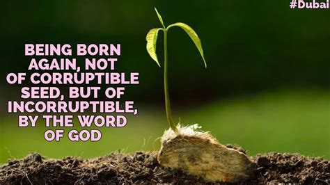 Being Born Again Not Of Corruptible Seed But Of Incorruptible By The