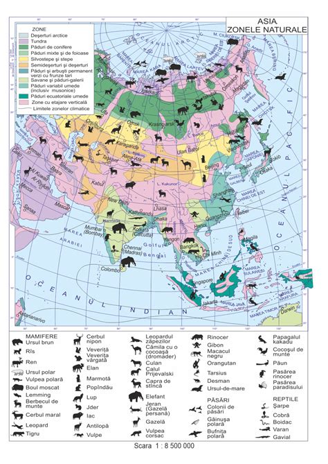 Asia Harta Zonelor Naturale 1 30m X 1 75m EDMAX