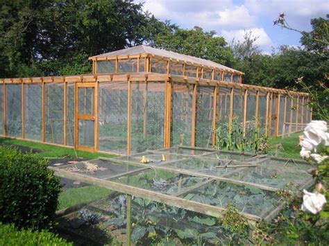 Greenhouses And Fruit Cages Roger Gladwell Timber Frame Construction Fruit Cage Vegetable