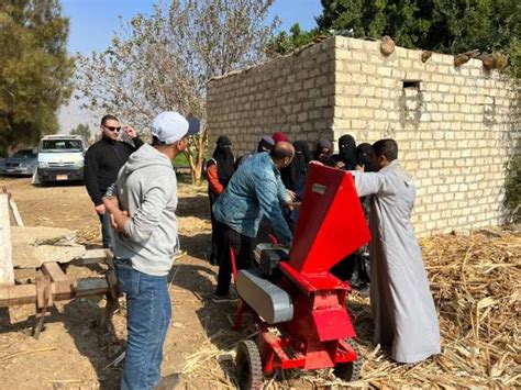 سيدات دلجا في المنيا يحولن البوص ومخلفات الزراعة إلى سماد عضوي صور