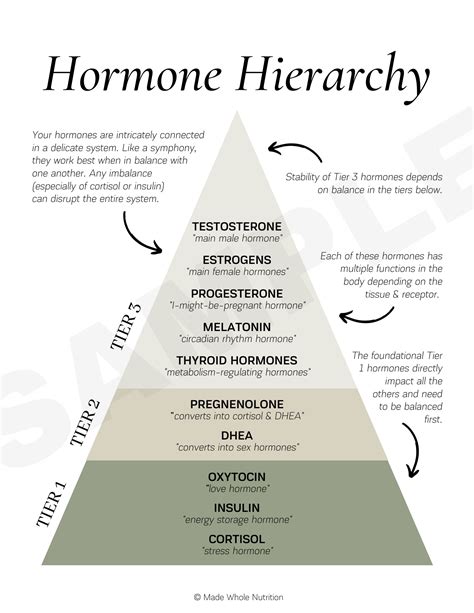 Hormone Health 2 Handout Bundle Functional Health Research