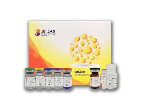 Human Tumor Necrosis Factor Lpha Tnf A Elisa Kit