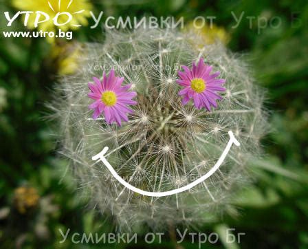 Усмивки – Днес