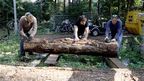 Hergebruik Gekapte Bomen