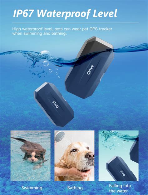 Pet Gps Tracker Manufacturer Pet Gps Tracker Factory Omni Petlife