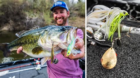 How To Choose Spinnerbaits For Bass Fishing Wired Fish