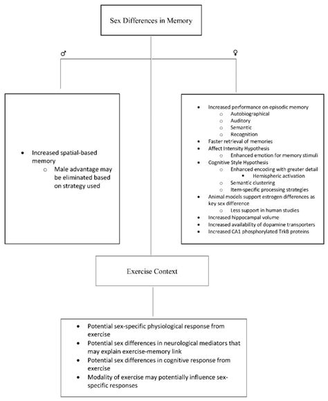 The Role Of Sex In Memory Function Considerations And Recommendations