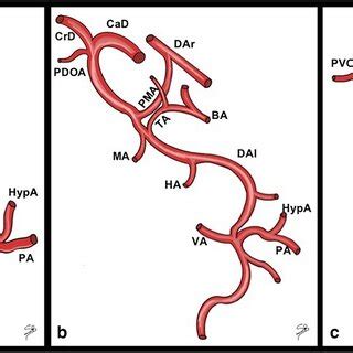 ICG Fluorescence Imaging After Intracorporeal Anastomosis In White