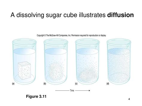 Sugar Cube Dissolving In Water