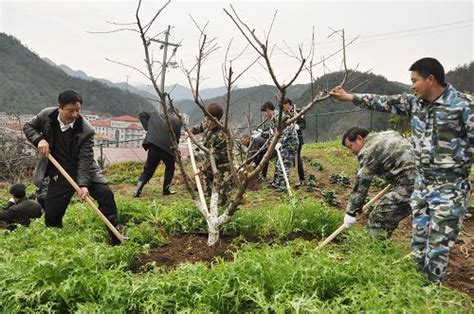 节后上班第一天植树添绿谱新篇图片新闻中国政府网