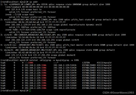 Mysql My Cnf Bind Address Csdn