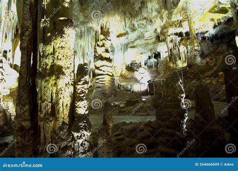 Tantanoola Caves editorial stock image. Image of rock - 264666609