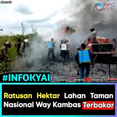 Ratusan Hektar Lahan Taman Nasional Way Kambas Terbakar