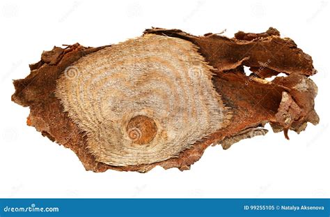 Wood Log Slice Cutted Tree Trunk Isolated On White Top View Stock