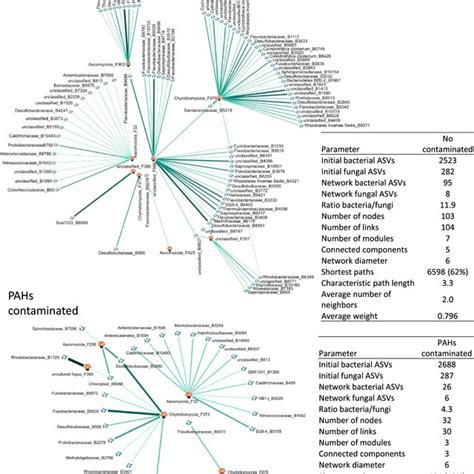 Fungal Bacteria Co Occurrence Networks In Microbial Community From