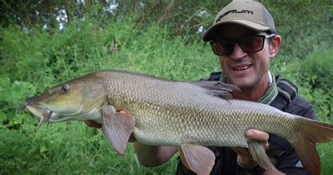 Small River Summer Barbel Fishing Fishing Buzz