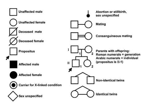 Pedigree Analysis Pptx