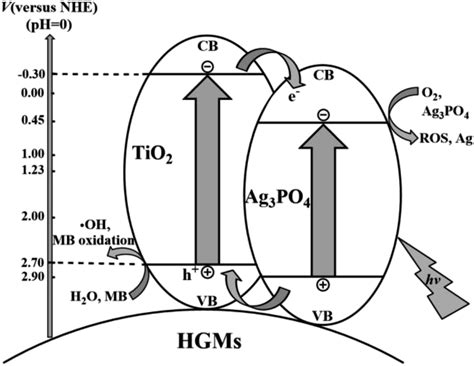 Preparation And Visible Light Photocatalytic Properties Of The Floating