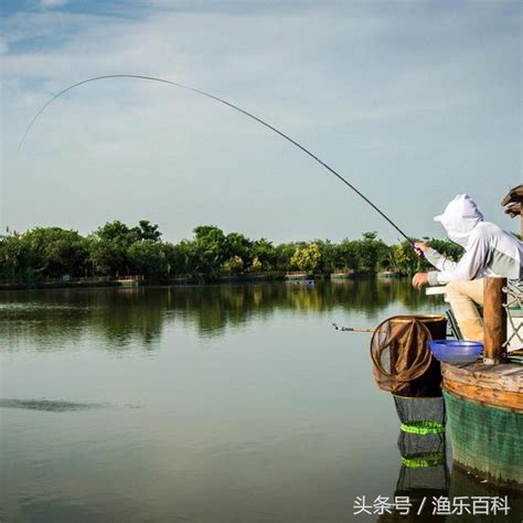 秋季魚難釣？掌握魚的習性讓你連竿到手軟 每日頭條