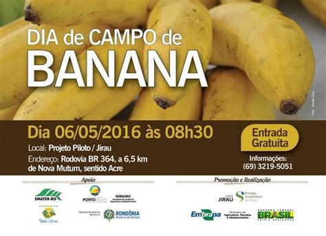 ESBR E EMBRAPA Realizam Dia De Campo De Banana Jirau Energia