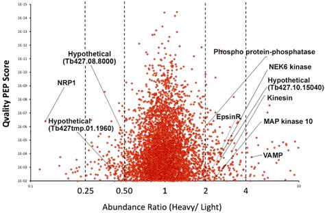 Knockdown Of TbNRP1 Alters Phosphoproteome Of T Brucei TbNRP1 RNAi