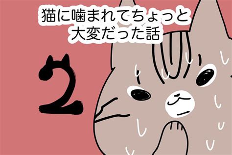 愛猫に噛まれて大変なことに注意喚起する実体験漫画に共感続々 「猫のしもべ あるある 」 Hint Pot 3